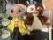 User submitted photo