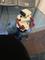 User submitted photo