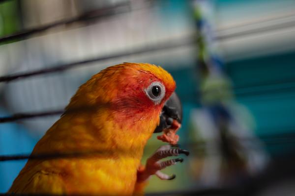 Customer photo 1 of 4. Click to open full size image.