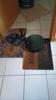 User submitted photo