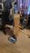 User submitted photo