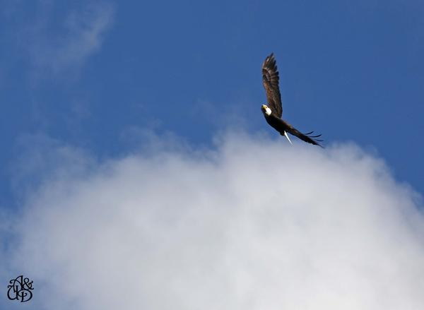 Customer photo 1 of 3. Click to open full size image.