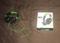User submitted photo