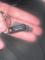 User submitted photo
