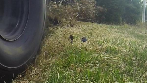 Customer photo 1 of 1. Click to open full size image.