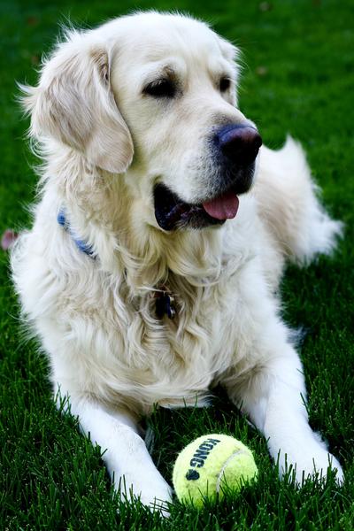 Customer photo 1 of 3. Click to open full size image.