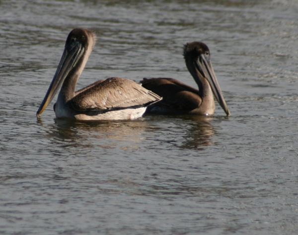 Customer photo 4 of 6. Click to open full size image.