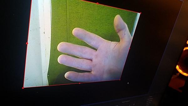 Customer photo 3 of 4. Click to open full size image.