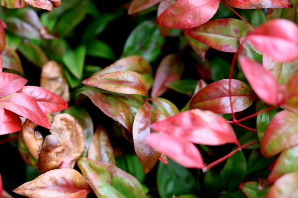 Customer photo 1 of 6. Click to open full size image.