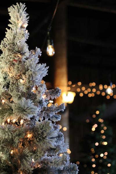 Customer photo 2 of 4. Click to open full size image.