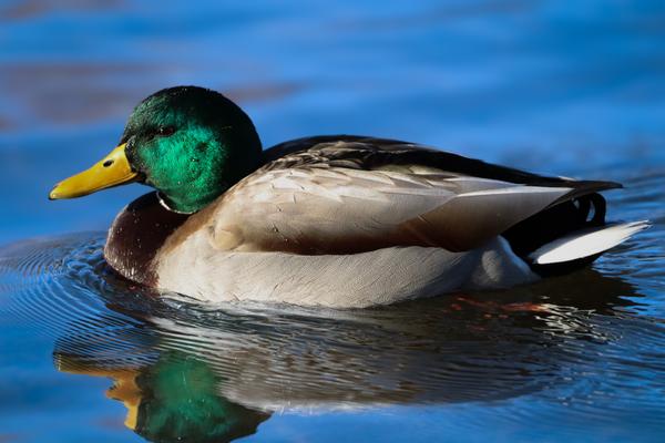 Customer photo 1 of 6. Click to open full size image.