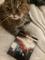 User submitted photo