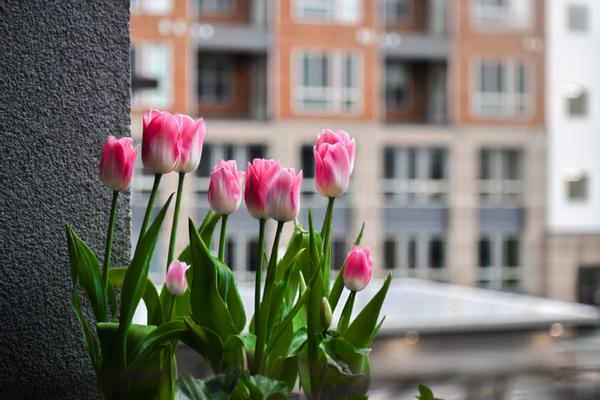 Customer photo 2 of 6. Click to open full size image.