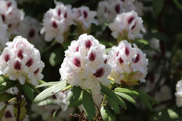 Customer photo 5 of 6. Click to open full size image.