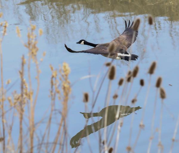 Customer photo 2 of 3. Click to open full size image.