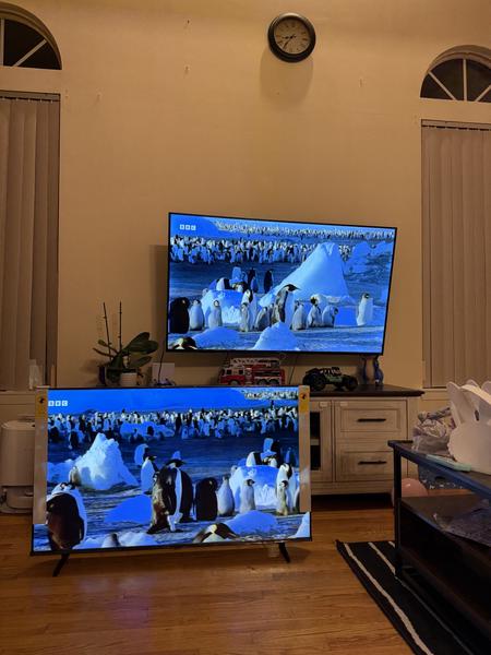 Customer photo 4 of 4. Click to open full size image.