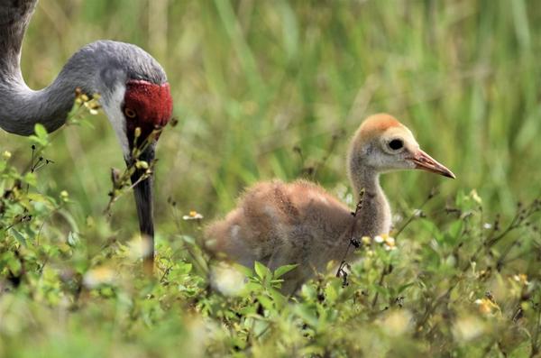 Customer photo 4 of 6. Click to open full size image.