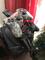 User submitted photo