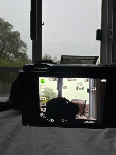 Customer photo 2 of 5. Click to open full size image.