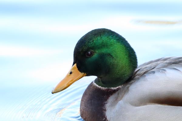 Customer photo 3 of 6. Click to open full size image.