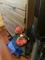 User submitted photo