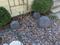 User submitted photo