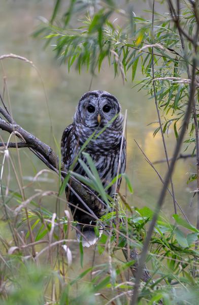 Customer photo 2 of 5. Click to open full size image.