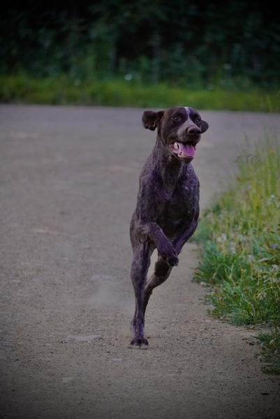 Customer photo 3 of 6. Click to open full size image.