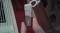 User submitted photo