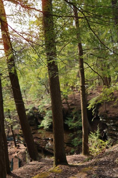 Customer photo 4 of 5. Click to open full size image.