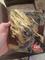 User submitted photo