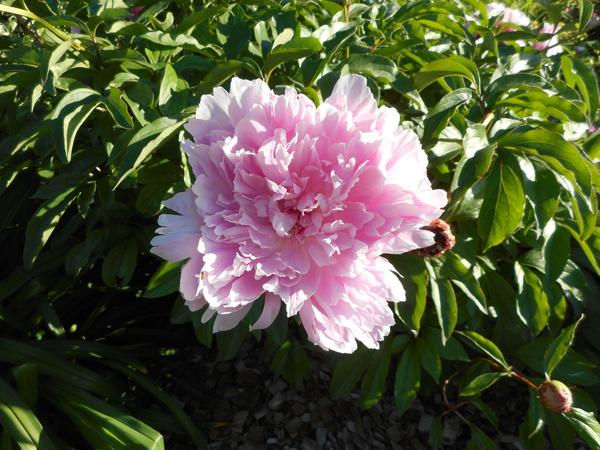 Customer photo 1 of 2. Click to open full size image.