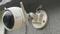 User submitted photo