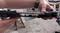 User submitted photo