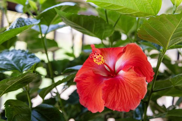 Customer photo 2 of 2. Click to open full size image.