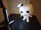 User submitted photo