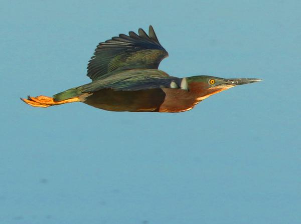 Customer photo 2 of 2. Click to open full size image.