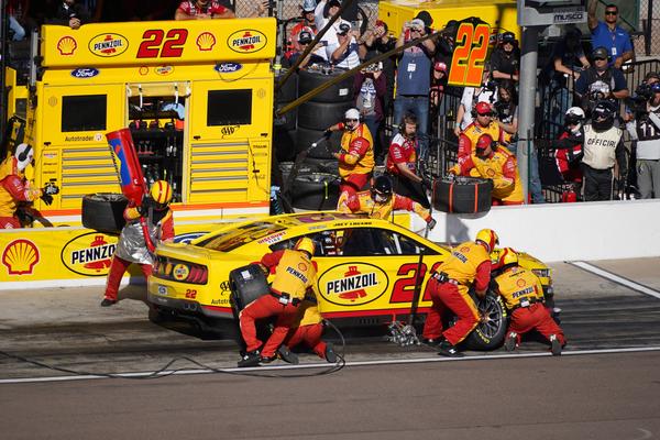 Customer photo 6 of 6. Click to open full size image.