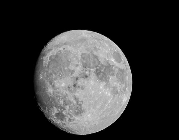 Customer photo 2 of 5. Click to open full size image.