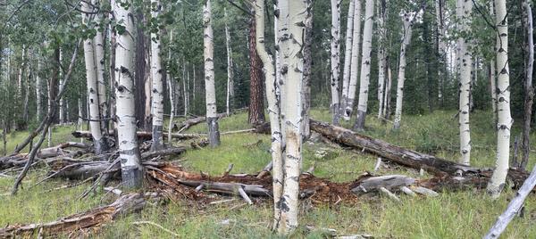 Customer photo 1 of 6. Click to open full size image.