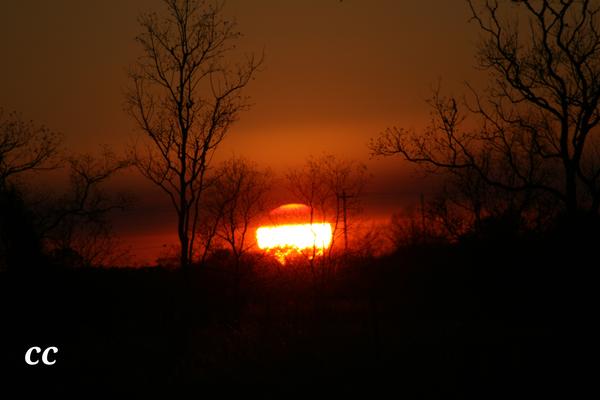 Customer photo 3 of 6. Click to open full size image.