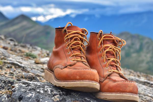 Customer photo 3 of 6. Click to open full size image.