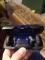 User submitted photo