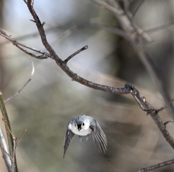 Customer photo 2 of 4. Click to open full size image.