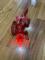 User submitted photo