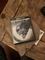 User submitted photo