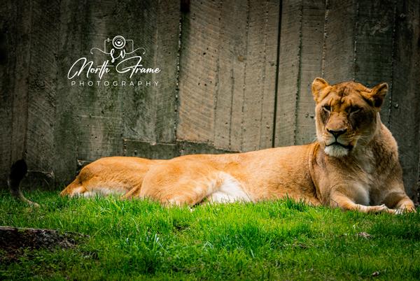 Customer photo 5 of 5. Click to open full size image.