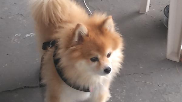 Customer photo 1 of 1. Click to open full size image.