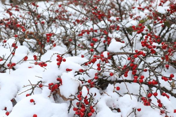 Customer photo 1 of 2. Click to open full size image.