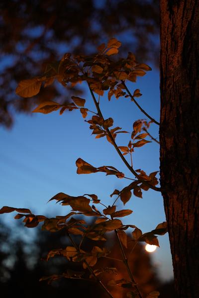 Customer photo 2 of 4. Click to open full size image.